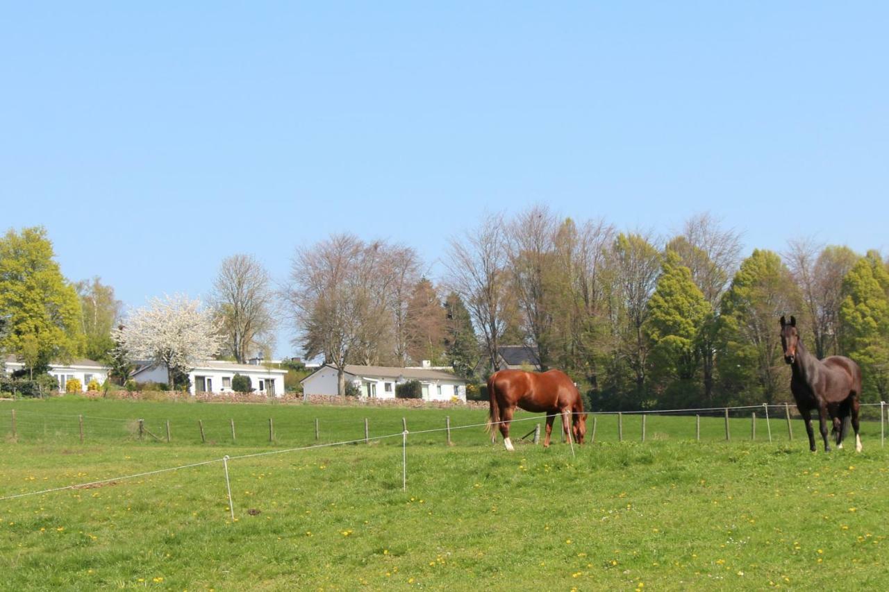 Domein Hellebeuk Met Uitzicht! Valkenburg/Klimmen Extérieur photo