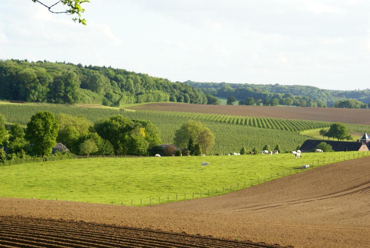 Domein Hellebeuk Met Uitzicht! Valkenburg/Klimmen Extérieur photo